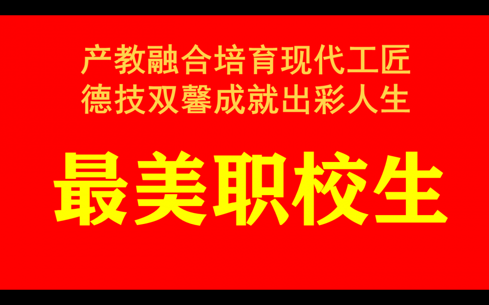 四川省仁寿县职业教育活动周宣传